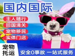 黄山机场货运国际宠物托运 【国